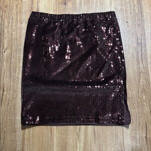 NWT J Jill skirt size mp.
